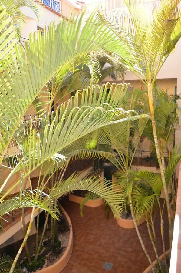Parque Tropical Hotell Los Cristianos  0*, Los Cristianos (Tenerife) Spanien